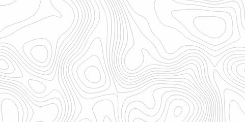 White wave paper curved reliefs abstract background Topographic map patterns. Background of the topography map. Abstract pattern with lines. Contour abstract map relief land outline.