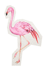 Pink flamingo png digital sticker, collage element in transparent background