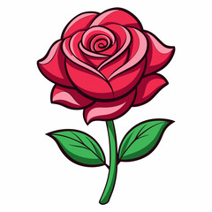 Rose flower vector illustrations