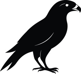 Hawk silhouette, Flying hawk bird, Hawk Bird Silhouette SVG, Eagle vector illustration
