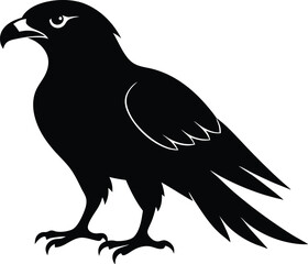 Hawk silhouette, Flying hawk bird, Hawk Bird Silhouette SVG, Eagle vector illustration
