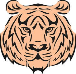 Tiger Vector Graphic