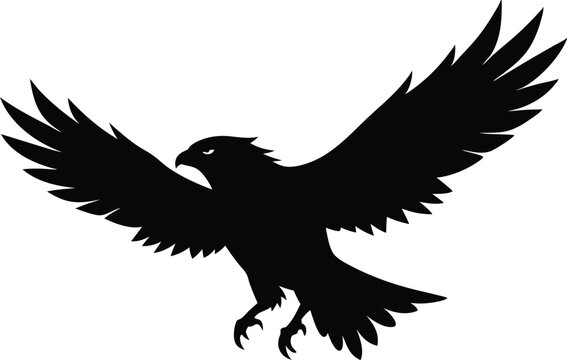 recommend clip art: Hawk silhouette, Flying hawk bird, Hawk Bird Silhouette SVG, Eagle vector illustration
                    