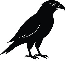 Hawk silhouette, Flying hawk bird, Hawk Bird Silhouette SVG, Eagle vector illustration
