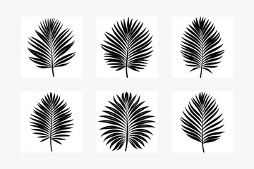 Fototapeta premium Palm Leaf icon vector art illustration on white background