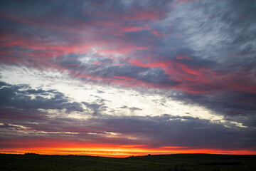 Beautiful sunset in the meadow