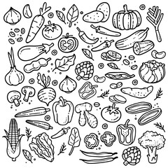 doodle element of vegetables