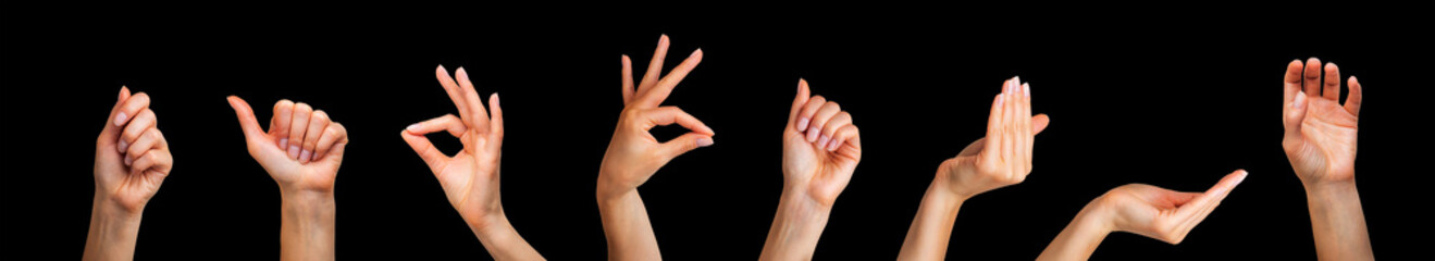 Set of woman hands showing different gestures, pointing and showing signs © Vasyl Onyskiv