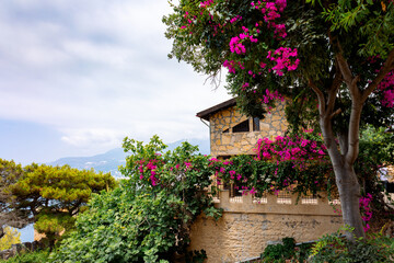 Stone house with beautiful flowering bush against blue sky. Southern Mediterranean landscape, Alanya, Turkey.High quality photo