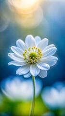  purple flower, pompom flower, garden flower, close-up, vibrant color, nature, bloom, floral, garden, plant, flower head, purple, outdoor, seasonal, natural, flora, closeup, blooming, detail, beautifu