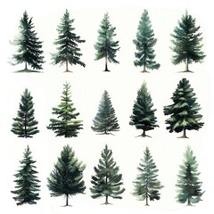 A collection of watercolor trees