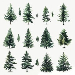 Obraz premium A collection of watercolor trees
