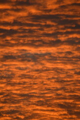 ciel coloré orange, couché de soleil, nuage coton