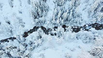 vue aérienne prise par drone - forêt enneigéé