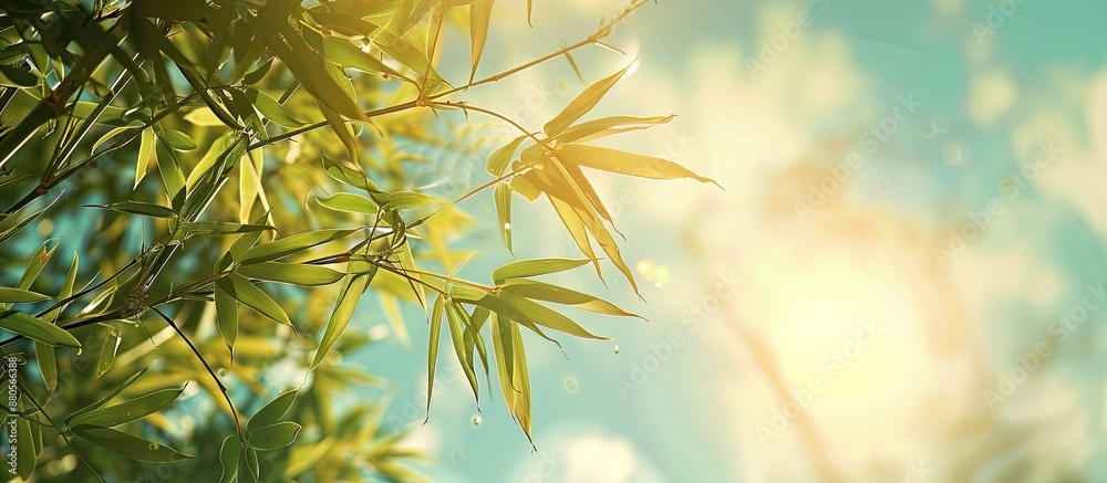 Aufkleber sunlight shining through bamboo leaves against a backdrop of the sky creates a serene image with cop