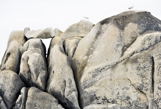 High-key landscape on granite rocks with two perched gulls