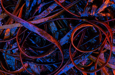 Abstraction of seaweed illuminated by sunset light in cool tones