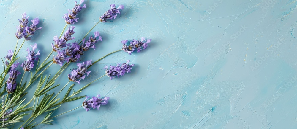 Poster a top down view of lavender blossoms displayed against a soft blue backdrop ideal for aromatherapy a