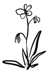 Png flower ink brush sticker, transparent background