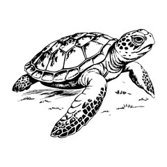 Sketch of a sea turtle resting on the ocean floor, on a white background