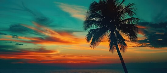 Obraz premium Sunset in paradise with a coconut palm tree silhouette against an orange and blue twilight sky providing copy space for text