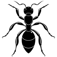 ant silhouette vector illustration