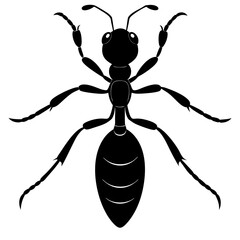 Ant silhouette vector illustration