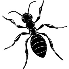 ant silhouette vector illustration