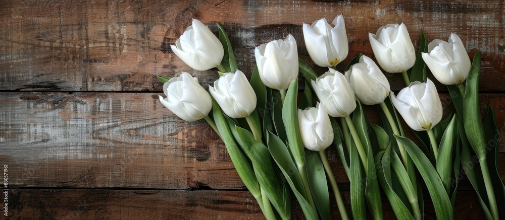 Poster rustic white tulips with copy space image