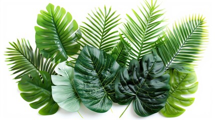 A variety of lush green tropical leaves, providing a vibrant and exotic touch to any design or background.