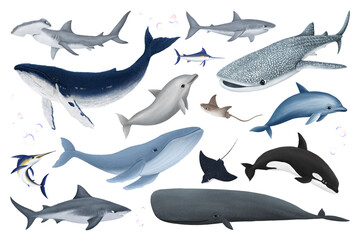 Large sea life animals png sticker illustration, transparent background set