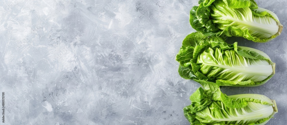 Poster top view of fresh green romaine lettuces on a light grey table with copy space image available