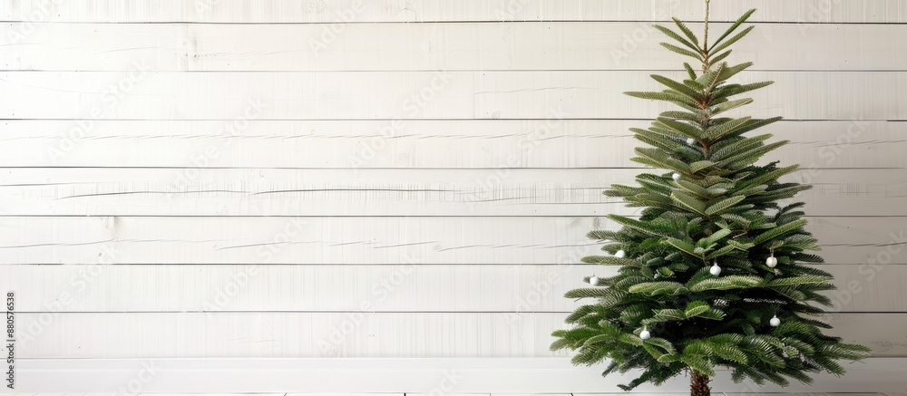 Poster a christmas tree displayed on a white wooden backdrop with ample copy space for text or other elemen
