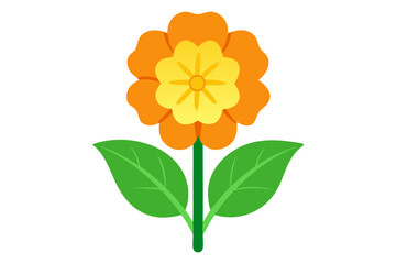 Primrose flower vector illustration 