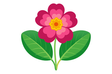Primrose flower vector illustration 
