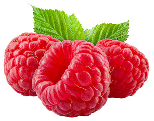 Raspberry isolated png. Raspberry with leaf on transparent background. PNG format. Three raspberries with no background. Full depth of field. © MarcoFood