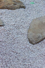 Decorative stones in the garden. Garden arrangements. White stones, colored stones in the garden.