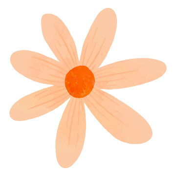 Orange daisy png sticker, cute flower clipart