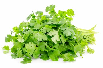 Fototapeta premium Fresh green coriander bunch isolated on white background