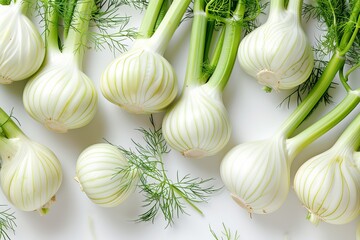 Freshly harvested fennel bulbs with green stems on white background