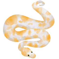 Obraz premium Ball Python watercolor transparent png