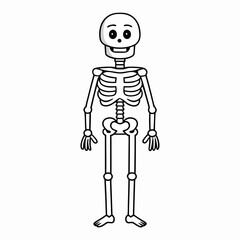 Skeleton vector illustration, skeleton head vector art, halloween skeleton silhouette, skeleton of a person