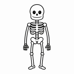 Skeleton vector illustration, skeleton head vector art, halloween skeleton silhouette, skeleton of a person