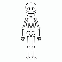 Skeleton vector illustration, skeleton head vector art, halloween skeleton silhouette, skeleton of a person