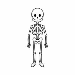 Skeleton vector illustration, skeleton head vector art, halloween skeleton silhouette, skeleton of a person