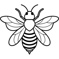 Bee line art vector illustrations