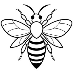 Bee line art vector illustrations