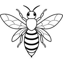 Bee line art vector illustrations