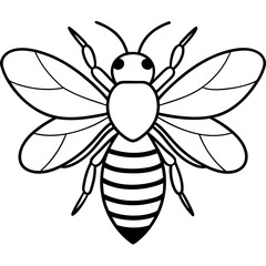 Fototapeta premium Bee line art vector illustrations
