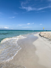 Fototapeta premium Tropical beach with turquoise water. Caribbean beach. Mexico
